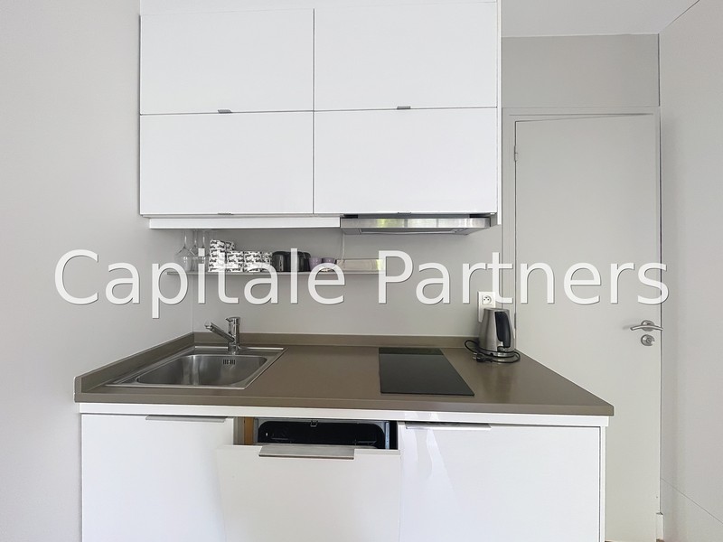 furnished  1 bedroom Apartment PARIS 15 - 32 m²;