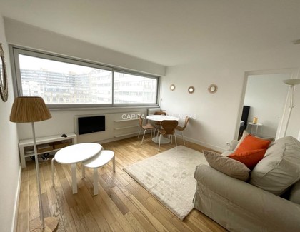 furnished  1 bedroom Apartment PARIS 15
