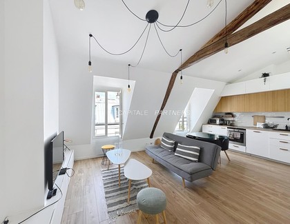 furnished  1 bedroom Apartment PARIS 15