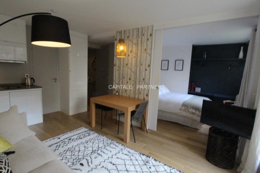 furnished  1 bedroom Apartment PARIS 15 - 31 m²;