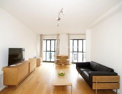 furnished  1 bedroom Apartment PARIS 11