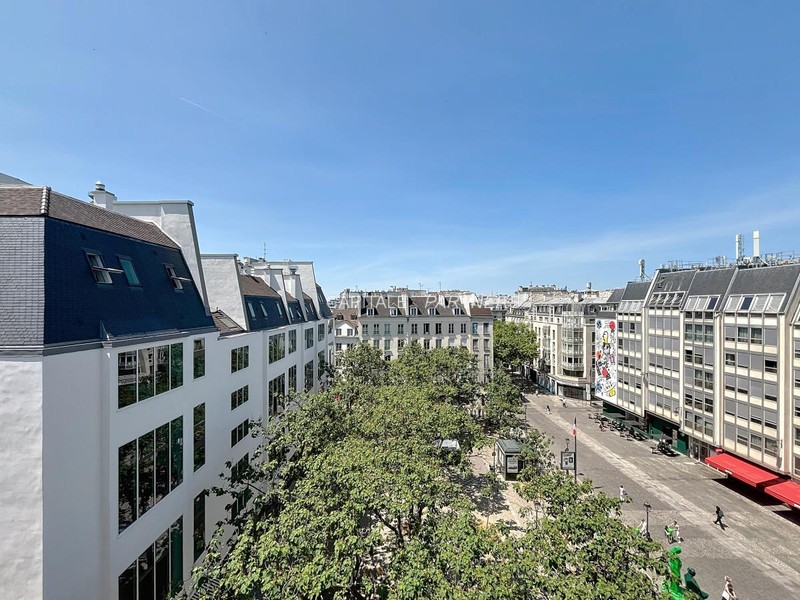 furnished  1 bedroom Apartment PARIS 4 - 60 m²;