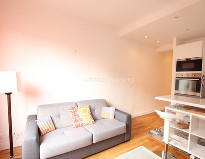 furnished  1 bedroom Apartment PARIS 15
