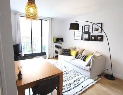 furnished  1 bedroom Apartment PARIS 15