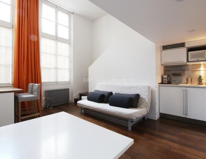 furnished  1 bedroom Apartment PARIS 6