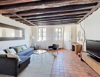 furnished  1 bedroom Apartment PARIS 4