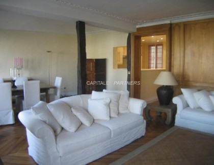 furnished  1 bedroom Apartment PARIS 5