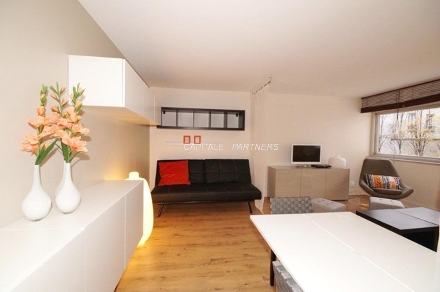 Studio  PARIS 15 - 45 m²;