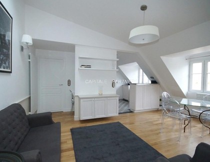 furnished  1 bedroom Apartment PARIS 8