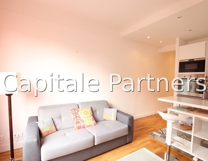 furnished  1 bedroom Apartment PARIS 15