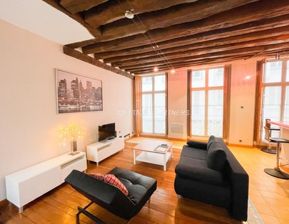 furnished  1 bedroom Apartment PARIS 3