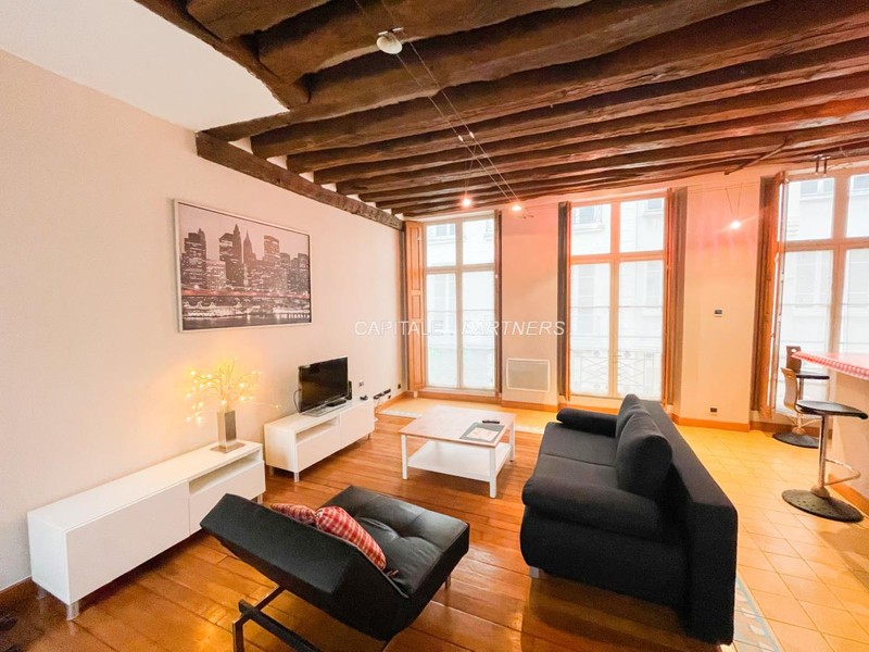 furnished  1 bedroom Apartment PARIS 3 - 60 m²;