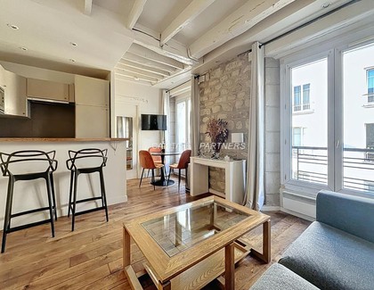 furnished  1 bedroom Apartment PARIS 14