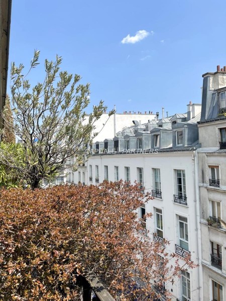 furnished  1 bedroom Apartment PARIS 2 - 71 m²;